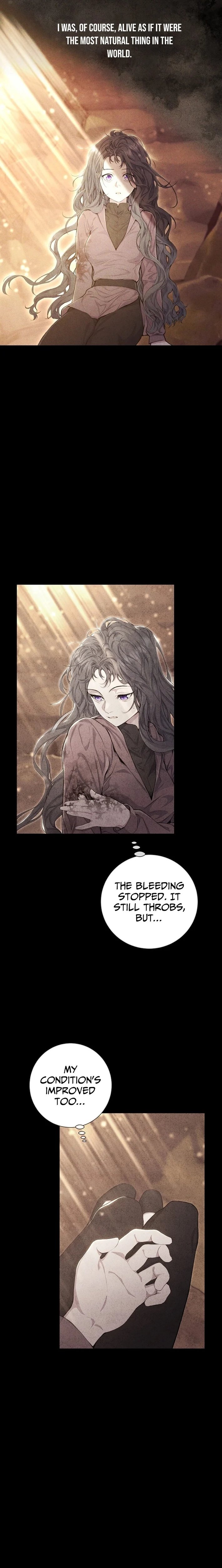 Don’t Look for the Resurrected Villainess - chapter-13 - Page 8