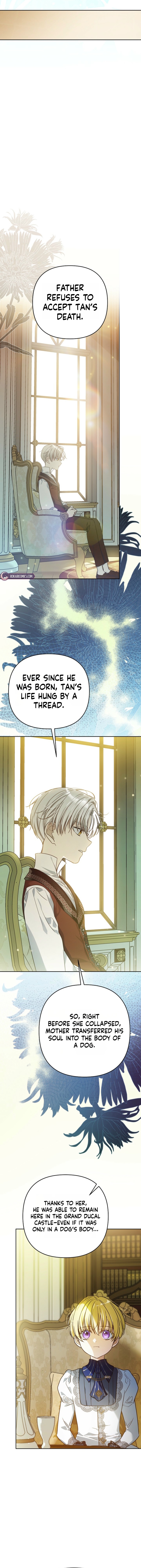 En Travesti: I Became a Fake Prince - chapter-16 - Page 18