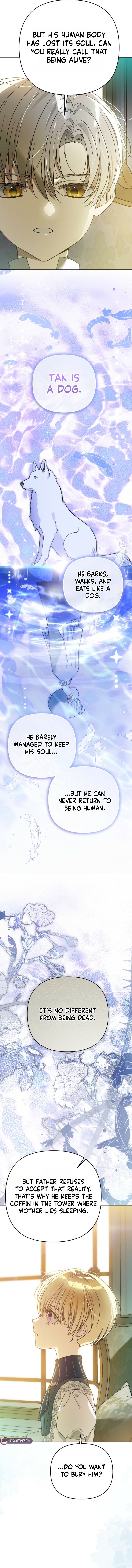 En Travesti: I Became a Fake Prince - chapter-16 - Page 19