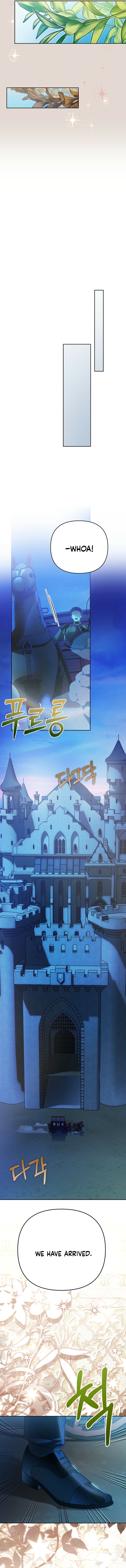 En Travesti: I Became a Fake Prince - chapter-22 - Page 18