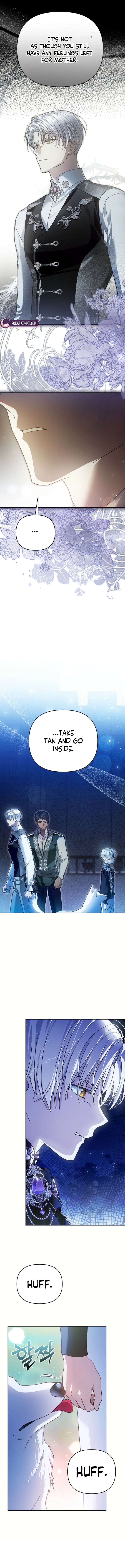 En Travesti: I Became a Fake Prince - chapter-5 - Page 4
