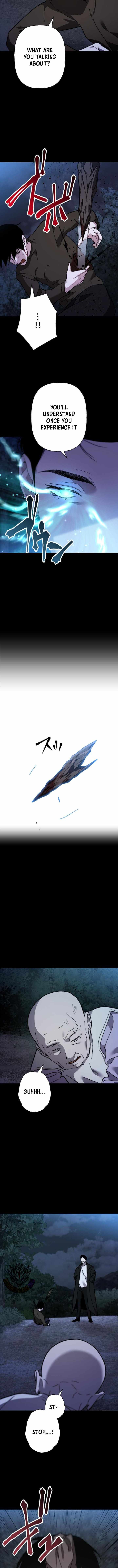 Meteor: The Savior of Blinding Speed - chapter-25 - Page 13