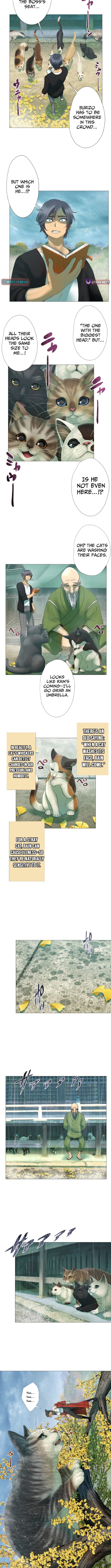 Monster Cat Punch - chapter-16 - Page 6