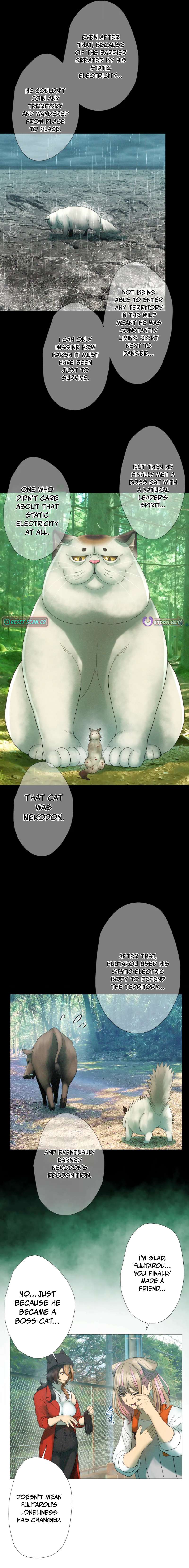 Monster Cat Punch - chapter-21 - Page 11