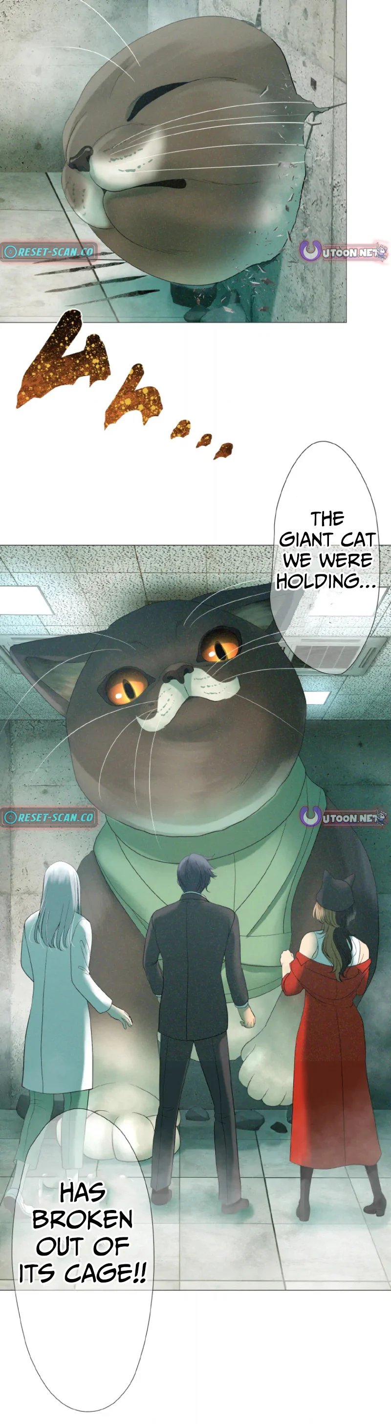 Monster Cat Punch - chapter-5 - Page 12