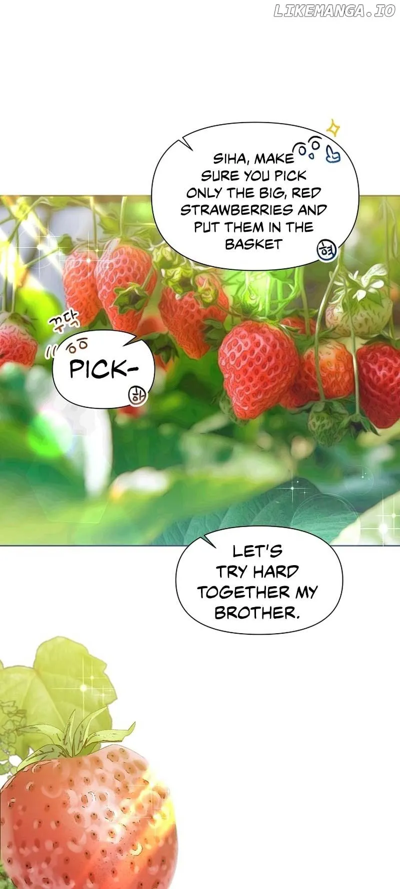 My Brother and His Gift - chapter-20 - Page 45