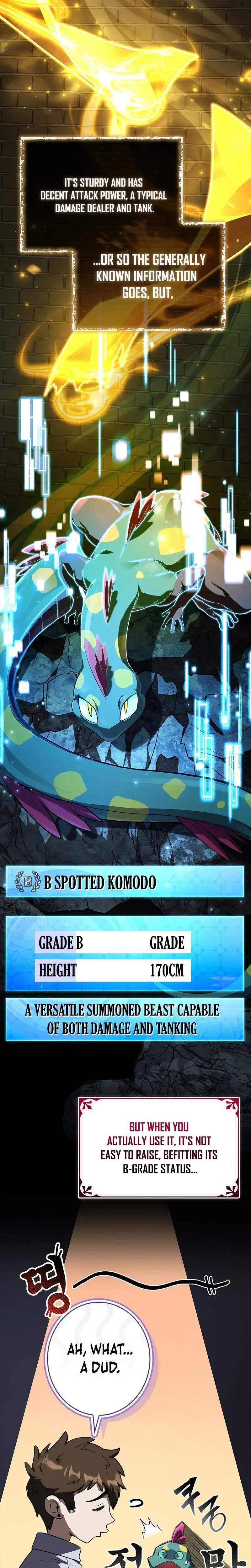Only I Have an EX-Grade Summon - chapter-10 - Page 9