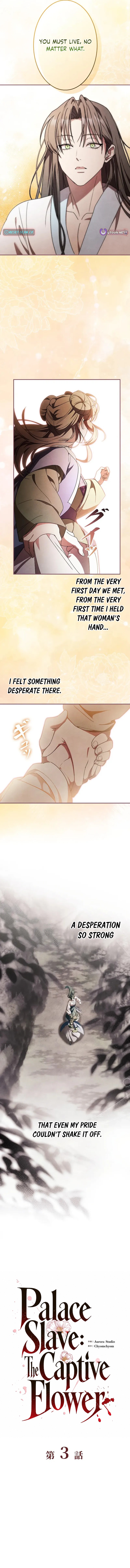 Palace Slave: The Captive Flower - chapter-3 - Page 8