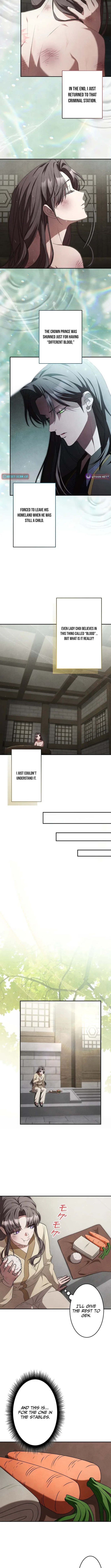 Palace Slave: The Captive Flower - chapter-7 - Page 7