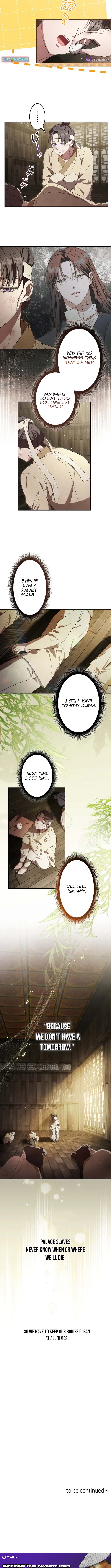 Palace Slave: The Captive Flower - chapter-8 - Page 8