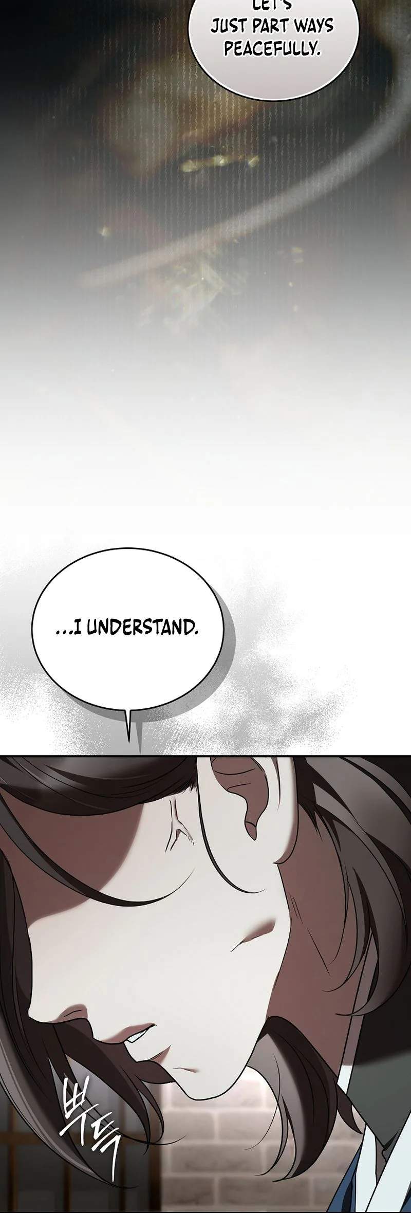 SSS-Class Regressor Has No Conscience - chapter-25 - Page 30