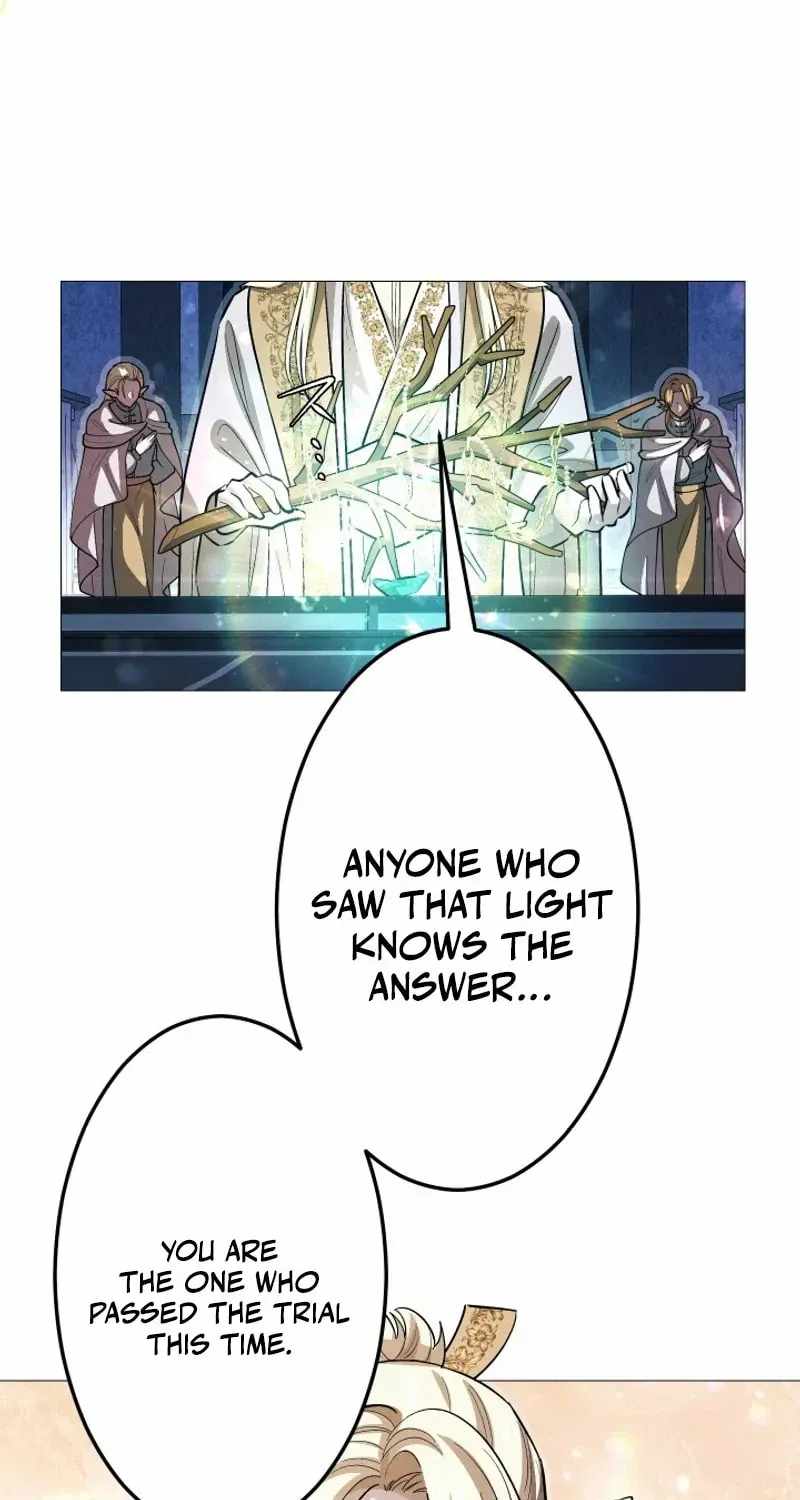 The Divine-Eyed Grimoire Mage: Jewel Saga - chapter-23 - Page 87