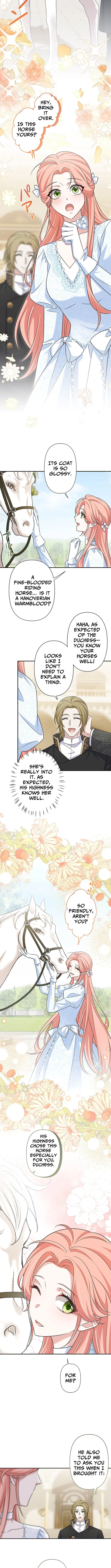 The Duchess Has Decided to Commit Adultery - chapter-17 - Page 5