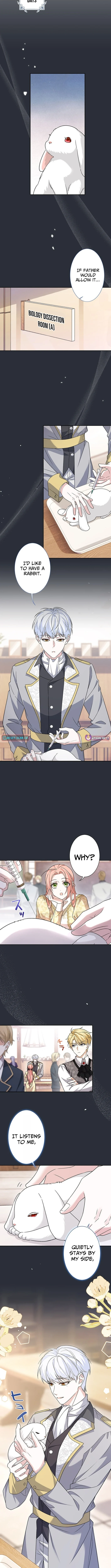 The Duchess Has Decided to Commit Adultery - chapter-3 - Page 9