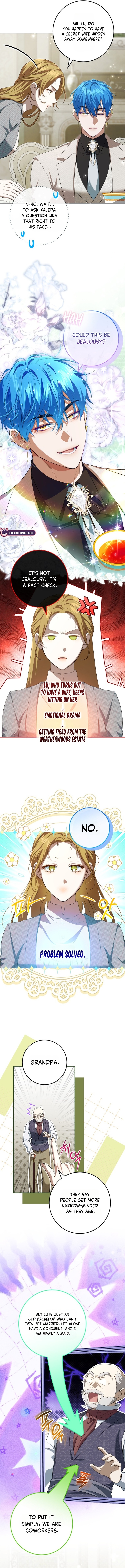 The Peaceful Life Of A Maid Who Hides Her Power And Enjoys It - chapter-33 - Page 11