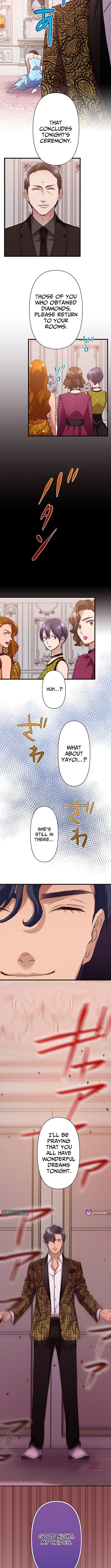 The Perfect Groom: Will You Offer Him True Love? - chapter-15 - Page 8